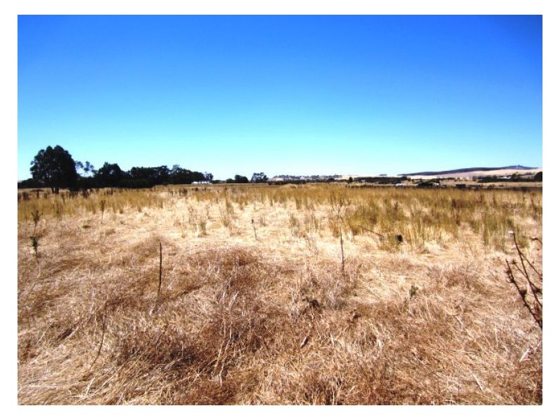 128 Settlement Road, Waubra VIC 3352