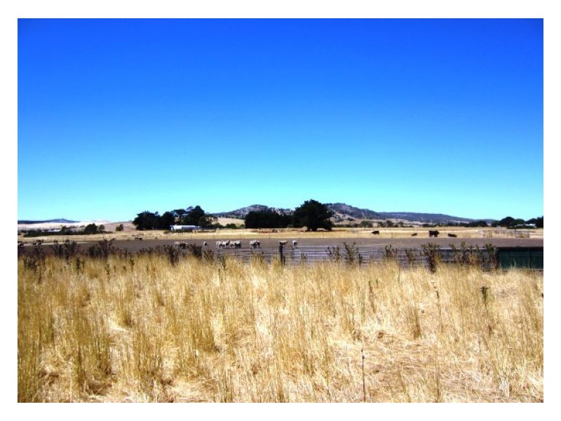 128 Settlement Road, Waubra VIC 3352