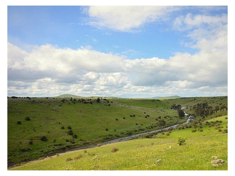 295 Foleys Road, Clunes VIC 3370