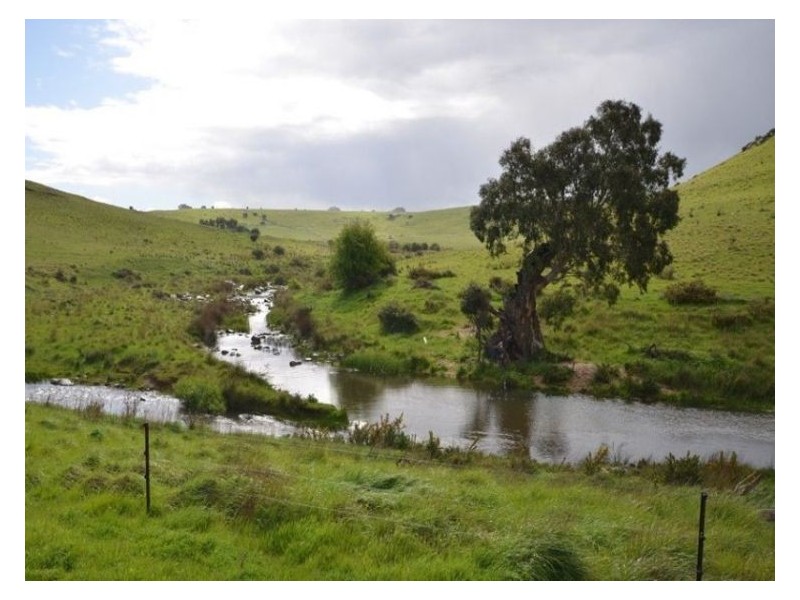 295 Foleys Road, Clunes VIC 3370