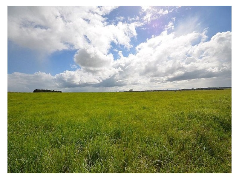 295 Foleys Road, Clunes VIC 3370