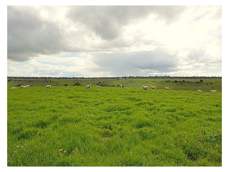 295 Foleys Road, Clunes VIC 3370