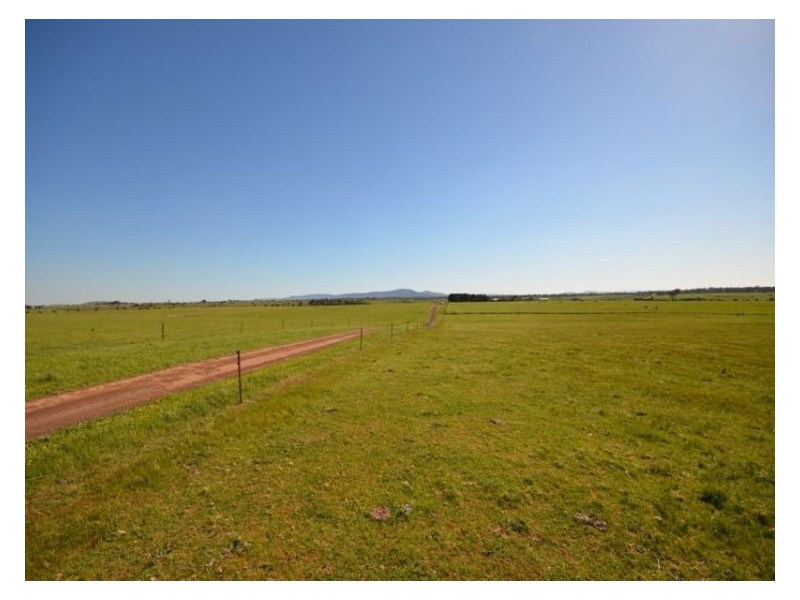 295 Foleys Road, Clunes VIC 3370