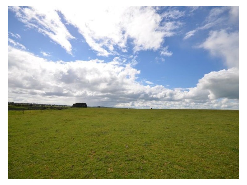 295 Foleys Road, Clunes VIC 3370