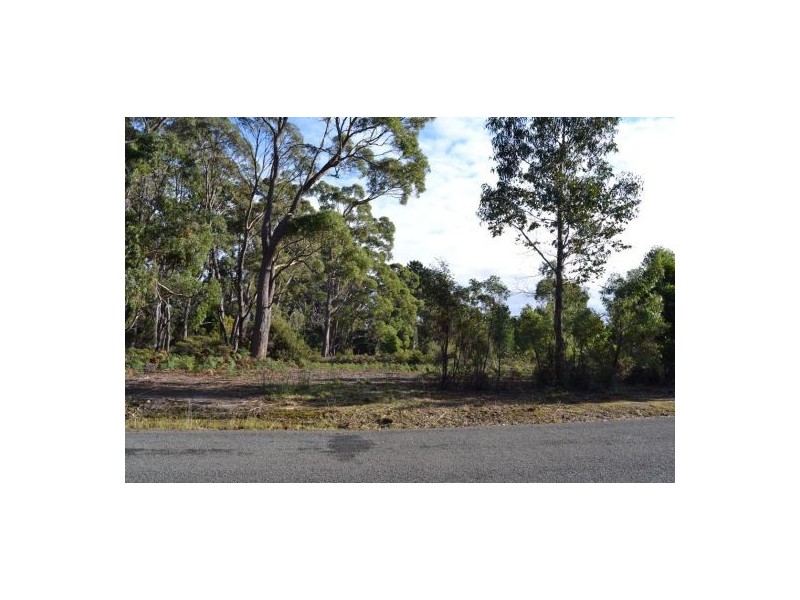 Lot 5 Cleveland Rise, Bruny Island TAS 7150