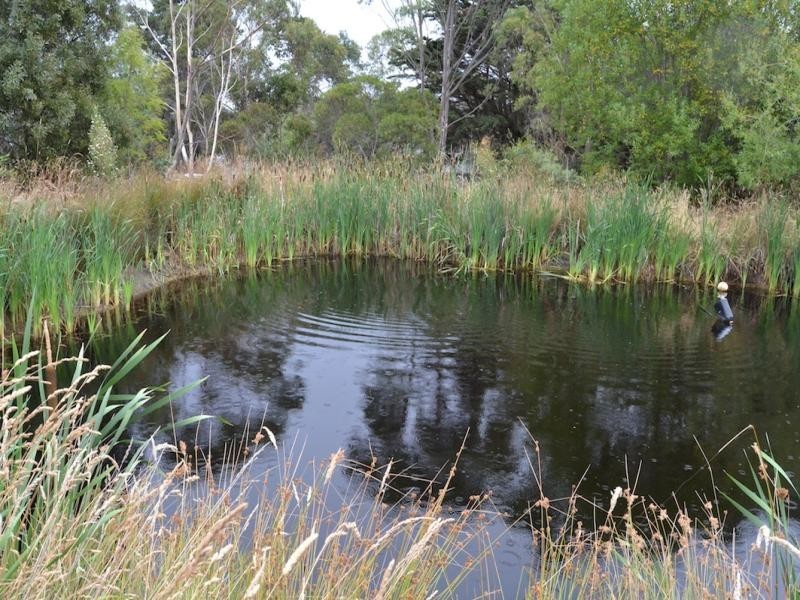 160 Church Road, Barnes Bay, Bruny Island TAS 7150