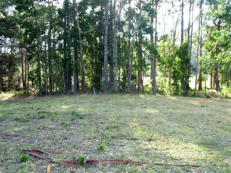 Lot 5 Cloudy Bay Road, Lunawanna, Bruny Island TAS 7150
