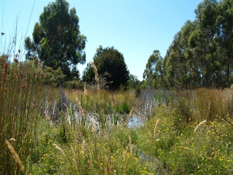 136 Simpsons Bay Road, Simpsons Bay, Bruny Island TAS 7150