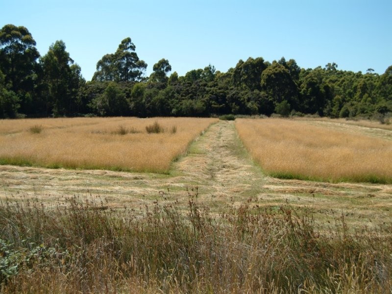 136 Simpsons Bay Road, Simpsons Bay, Bruny Island TAS 7150