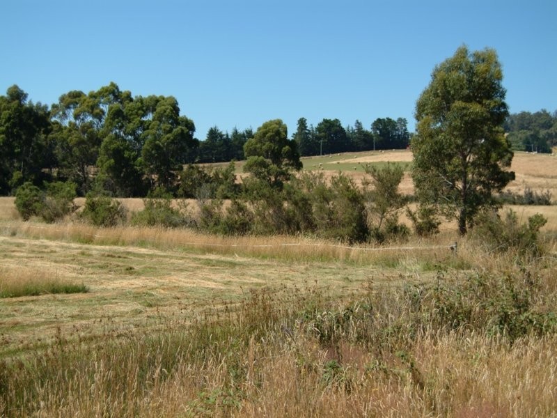 136 Simpsons Bay Road, Simpsons Bay, Bruny Island TAS 7150