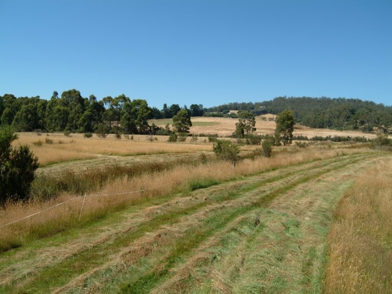 136 Simpsons Bay Road, Simpsons Bay, Bruny Island TAS 7150
