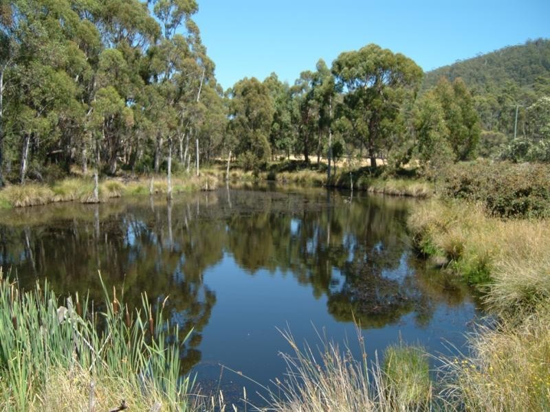 136 Simpsons Bay Road, Simpsons Bay, Bruny Island TAS 7150