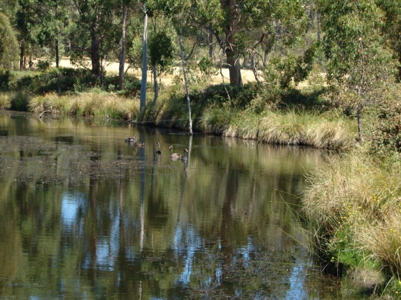 136 Simpsons Bay Road, Simpsons Bay, Bruny Island TAS 7150