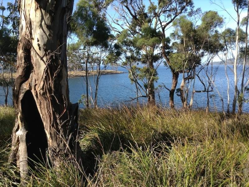 47 Youngs Road, Apollo Bay, Bruny Island TAS 7150