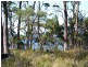47 Youngs Road, Apollo Bay, Bruny Island TAS 7150