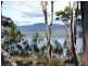 47 Youngs Road, Apollo Bay, Bruny Island TAS 7150
