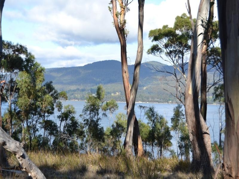 47 Youngs Road, Apollo Bay, Bruny Island TAS 7150