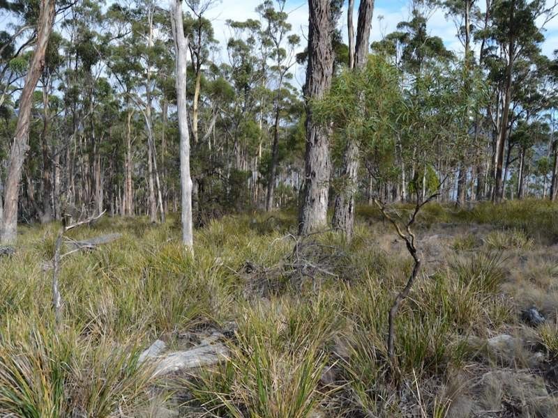 47 Youngs Road, Apollo Bay, Bruny Island TAS 7150