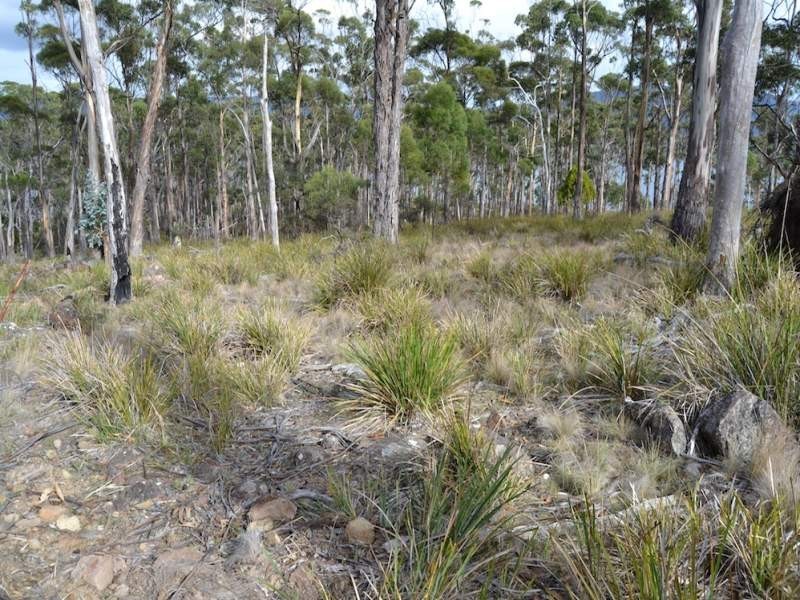 47 Youngs Road, Apollo Bay, Bruny Island TAS 7150