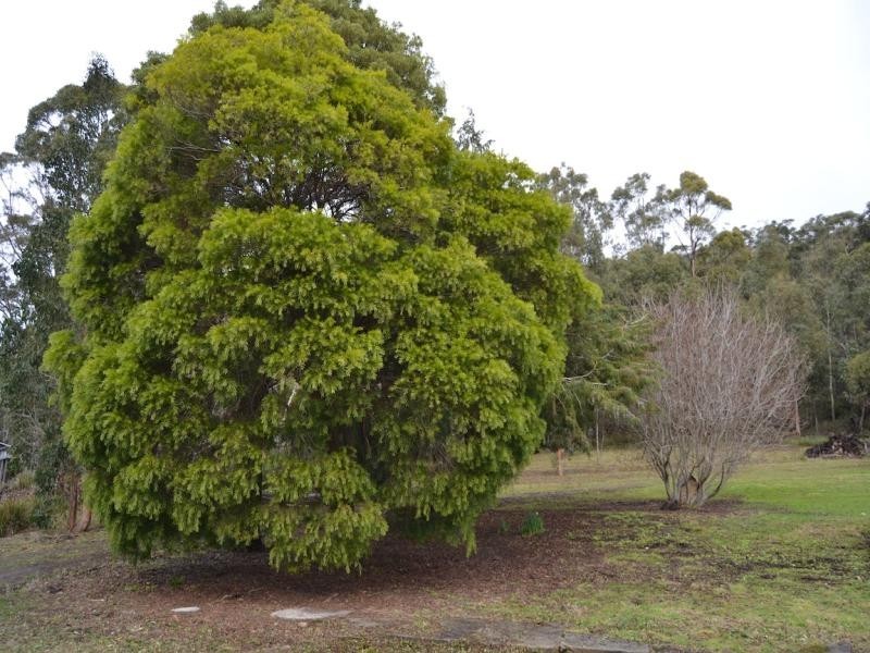 4569 Bruny Island Main Road, Lunawanna, Bruny Island TAS 7150