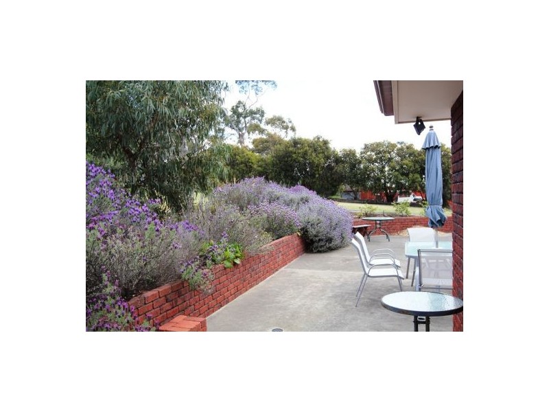 125 Saxon Drive, Acton Park TAS 7170