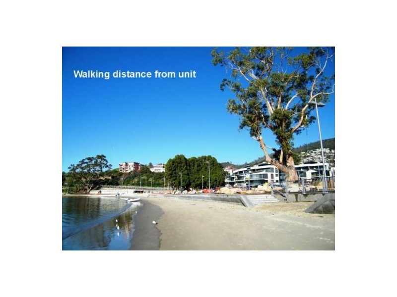 15/5 Beach Road, Sandy Bay TAS 7005