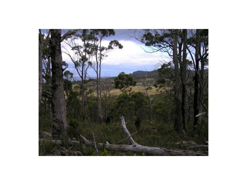 Bruny Island TAS 7150