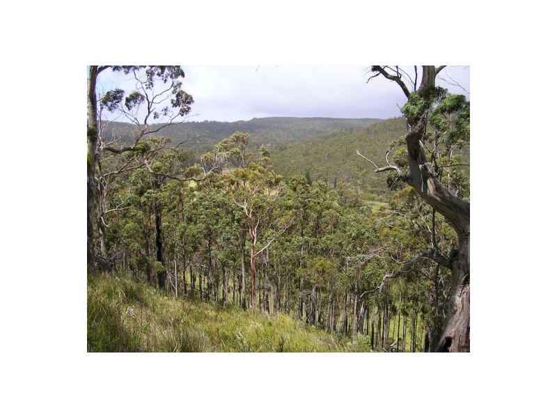 Bruny Island TAS 7150