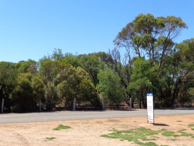 5e Edward Street, Strathalbyn SA 5255