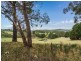 550 Mount Lofty Summit Road, Summertown SA 5141