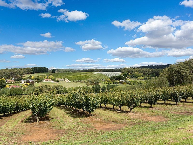 125 Bonython Road, Summertown SA 5141
