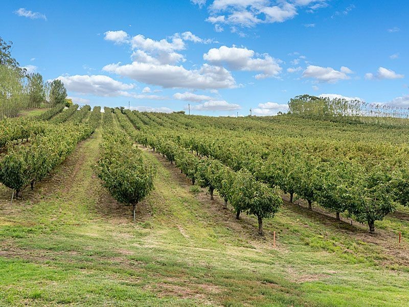 125 Bonython Road, Summertown SA 5141