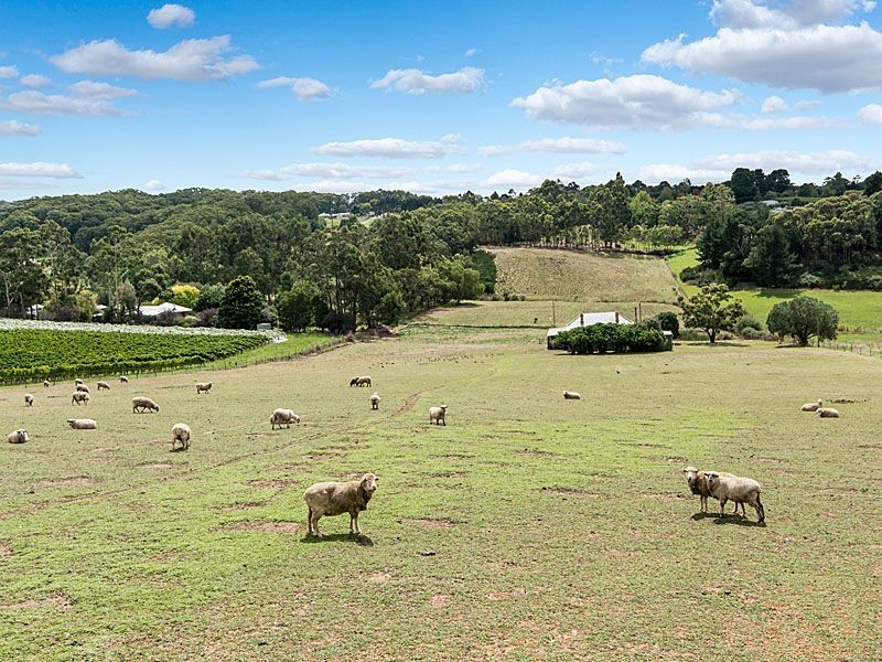 125 Bonython Road, Summertown SA 5141