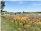 7 Parish Hill Road, Uraidla SA 5142