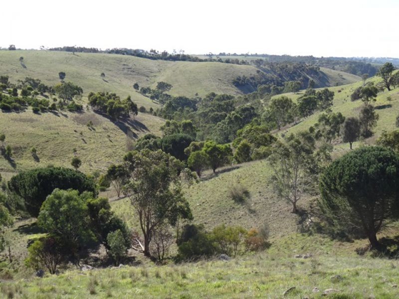 185 Stirling Hill Road, Wistow SA 5251