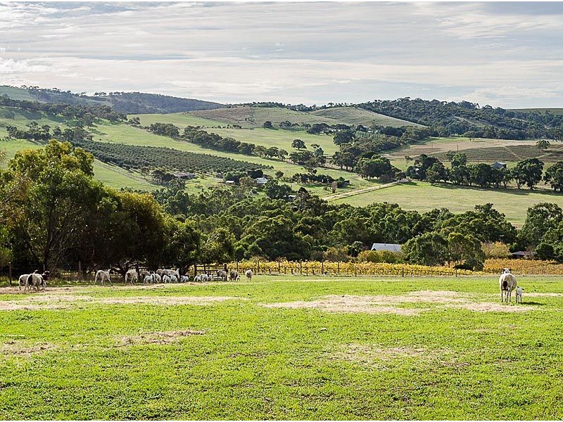 278 Braeside Road, Finniss SA 5255