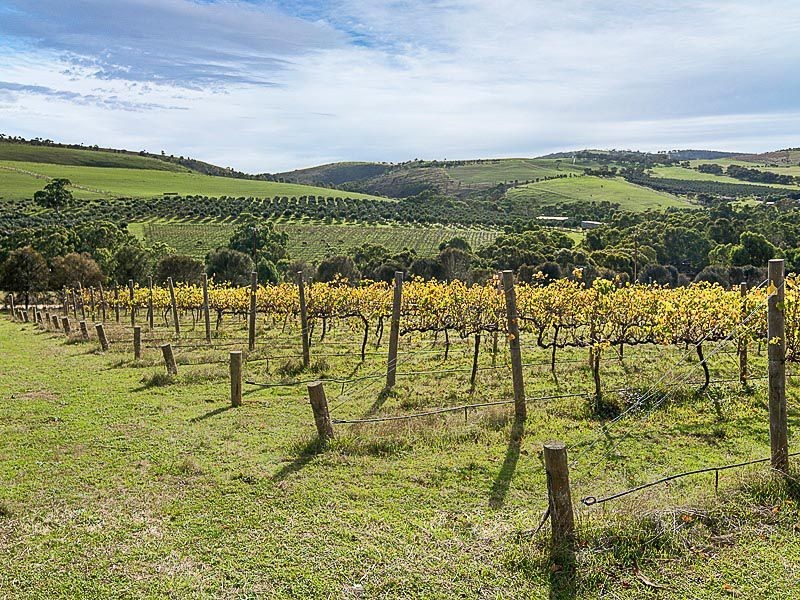 278 Braeside Road, Finniss SA 5255