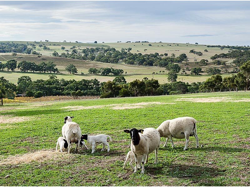 278 Braeside Road, Finniss SA 5255