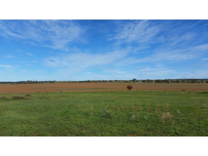 Sec 444 Bahr Road, Rockleigh SA 5254