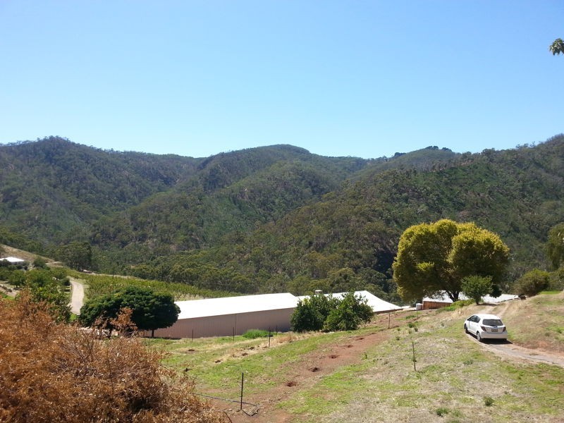 51C Fernhurst Lane, Cherryville SA 5134