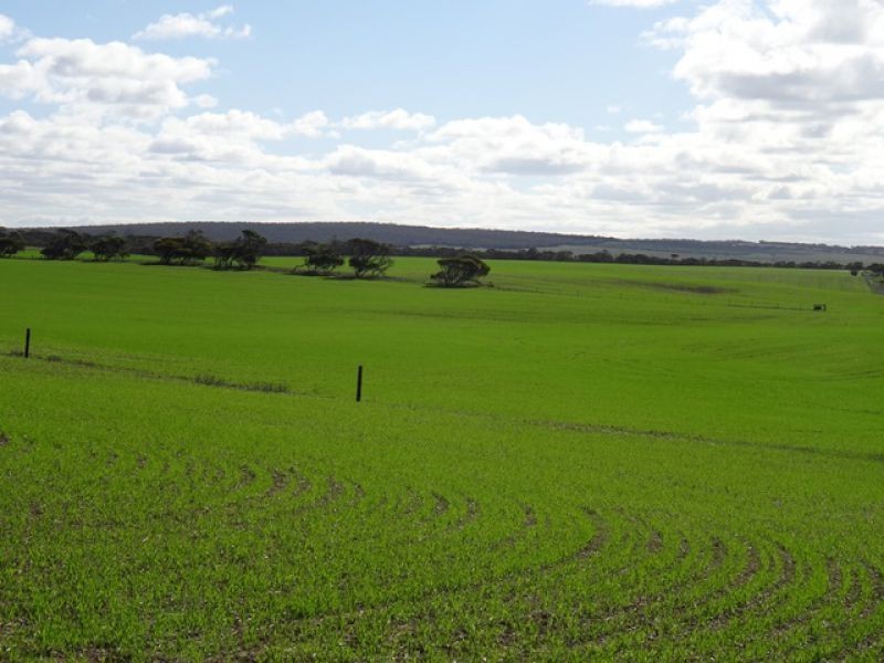 Lot 22 Chaunceys Line Rd, Monarto South SA 5254