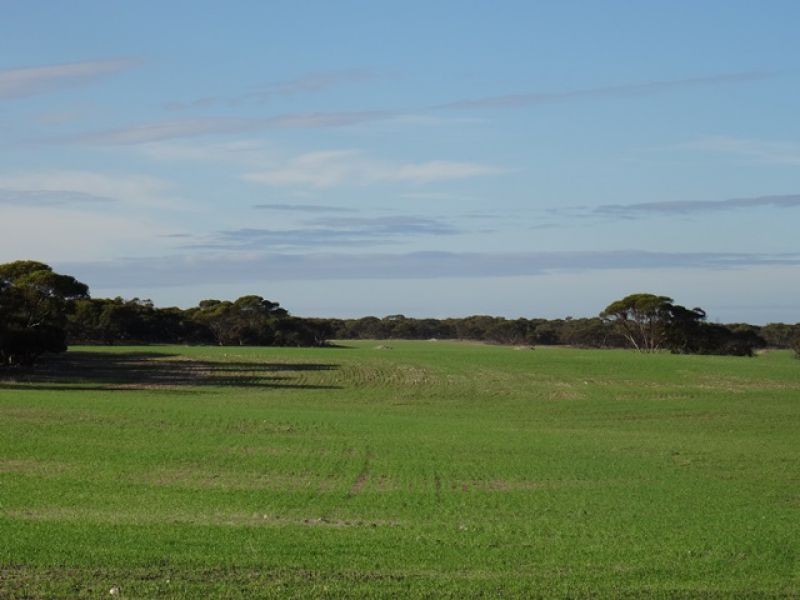 Lot 22 Chaunceys Line Rd, Monarto South SA 5254