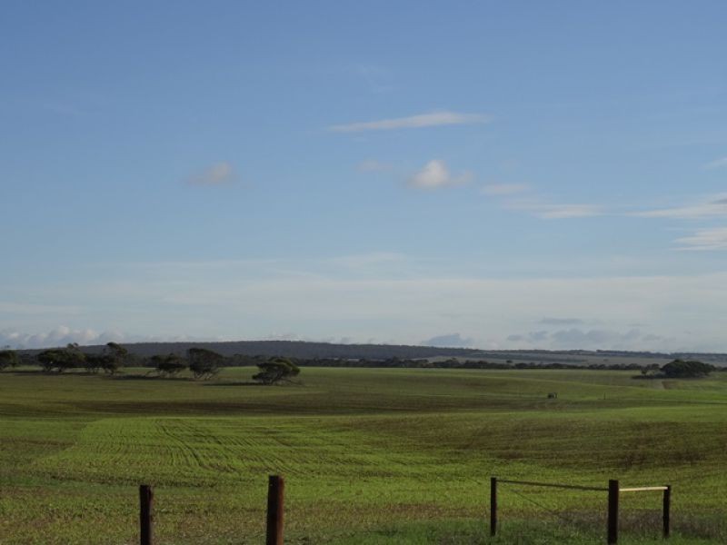 Lot 22 Chaunceys Line Rd, Monarto South SA 5254