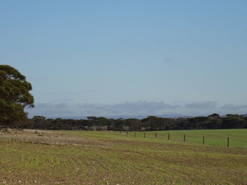 Lot 22 Chaunceys Line Rd, Monarto South SA 5254