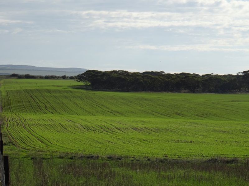 Lot 22 Chaunceys Line Rd, Monarto South SA 5254