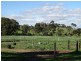 1270 Long Valley Road, Strathalbyn SA 5255