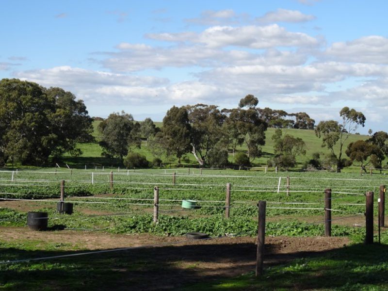1270 Long Valley Road, Strathalbyn SA 5255
