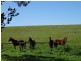 1270 Long Valley Road, Strathalbyn SA 5255