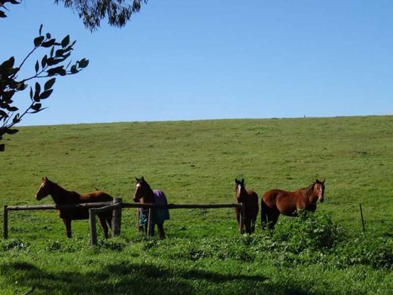 1270 Long Valley Road, Strathalbyn SA 5255