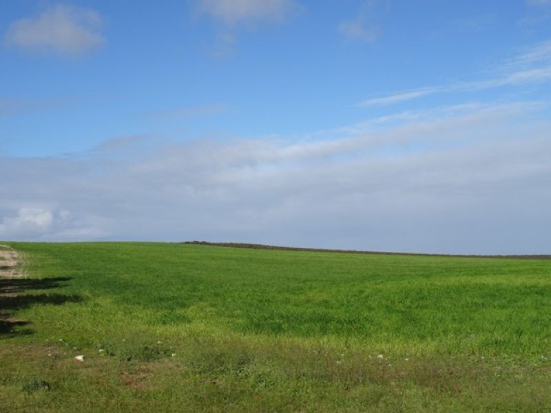 961 Ferries McDonald Road, Monarto South SA 5254